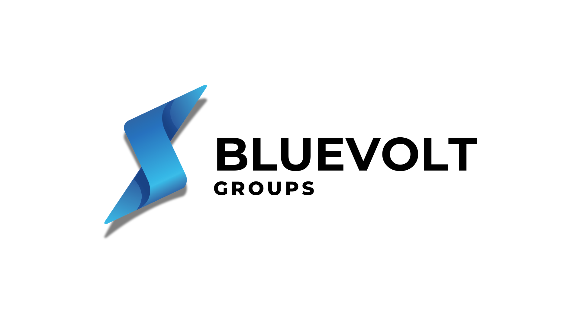 BLUEVOLT GROUPS